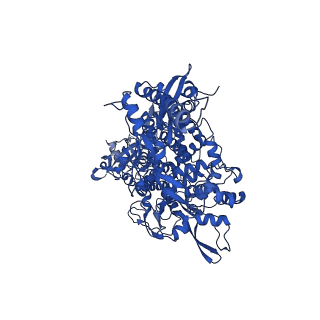 30275_7c2k_A_v1-4
COVID-19 RNA-dependent RNA polymerase pre-translocated catalytic complex