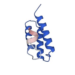 30275_7c2k_C_v1-3
COVID-19 RNA-dependent RNA polymerase pre-translocated catalytic complex