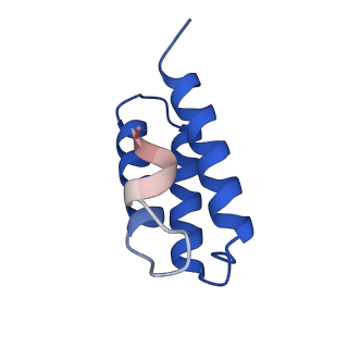 30275_7c2k_C_v1-4
COVID-19 RNA-dependent RNA polymerase pre-translocated catalytic complex