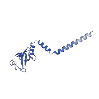 30275_7c2k_D_v1-3
COVID-19 RNA-dependent RNA polymerase pre-translocated catalytic complex