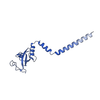 30275_7c2k_D_v1-4
COVID-19 RNA-dependent RNA polymerase pre-translocated catalytic complex