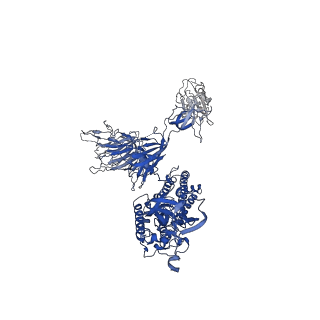 30276_7c2l_A_v1-1
S protein of SARS-CoV-2 in complex bound with 4A8