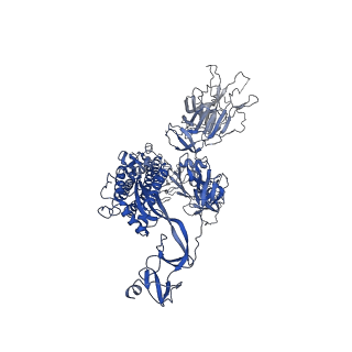 30276_7c2l_B_v1-1
S protein of SARS-CoV-2 in complex bound with 4A8