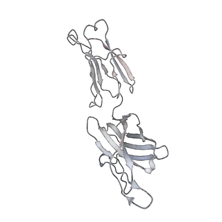 30276_7c2l_H_v1-1
S protein of SARS-CoV-2 in complex bound with 4A8