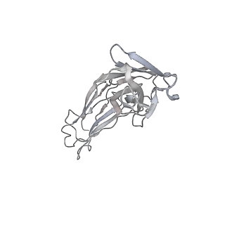 30276_7c2l_J_v1-1
S protein of SARS-CoV-2 in complex bound with 4A8