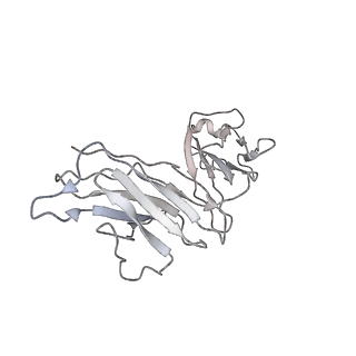 30276_7c2l_M_v1-1
S protein of SARS-CoV-2 in complex bound with 4A8