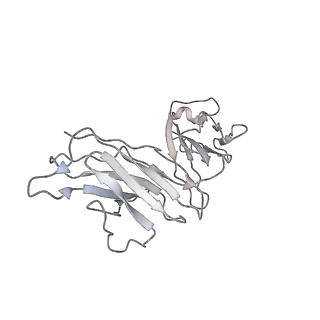 30276_7c2l_M_v2-2
S protein of SARS-CoV-2 in complex bound with 4A8