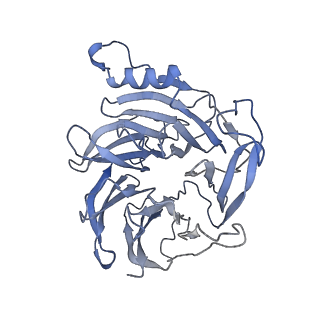 7334_6c23_L_v1-6
Cryo-EM structure of PRC2 bound to cofactors AEBP2 and JARID2 in the Compact Active State