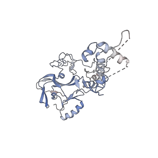 7335_6c24_K_v1-6
Cryo-EM structure of PRC2 bound to cofactors AEBP2 and JARID2 in the Extended Active State