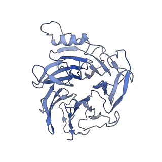 7335_6c24_L_v1-6
Cryo-EM structure of PRC2 bound to cofactors AEBP2 and JARID2 in the Extended Active State