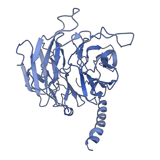 7335_6c24_N_v1-6
Cryo-EM structure of PRC2 bound to cofactors AEBP2 and JARID2 in the Extended Active State