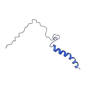 7335_6c24_Q_v1-6
Cryo-EM structure of PRC2 bound to cofactors AEBP2 and JARID2 in the Extended Active State