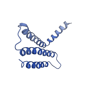 7336_6c26_2_v1-4
The Cryo-EM structure of a eukaryotic oligosaccharyl transferase complex