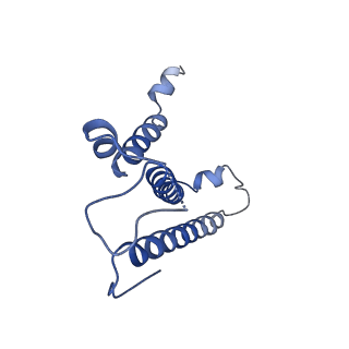 7336_6c26_3_v1-4
The Cryo-EM structure of a eukaryotic oligosaccharyl transferase complex