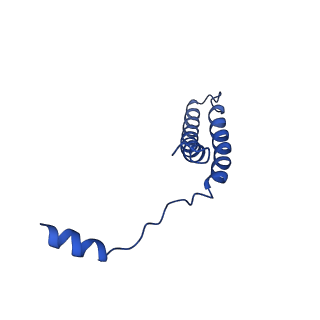 7336_6c26_5_v1-4
The Cryo-EM structure of a eukaryotic oligosaccharyl transferase complex