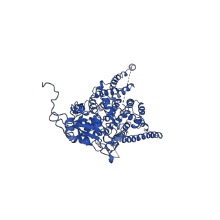 7336_6c26_A_v1-4
The Cryo-EM structure of a eukaryotic oligosaccharyl transferase complex