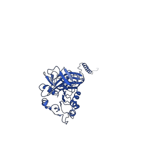 7336_6c26_B_v1-4
The Cryo-EM structure of a eukaryotic oligosaccharyl transferase complex