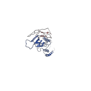 7336_6c26_C_v1-4
The Cryo-EM structure of a eukaryotic oligosaccharyl transferase complex