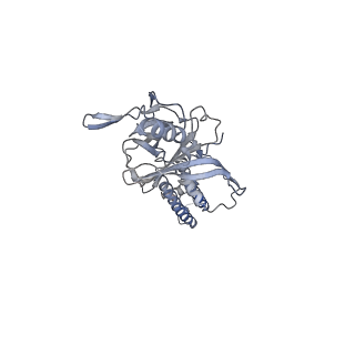 7338_6c3o_C_v1-0
Cryo-EM structure of human KATP bound to ATP and ADP in quatrefoil form