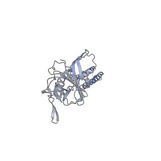 7338_6c3o_D_v1-0
Cryo-EM structure of human KATP bound to ATP and ADP in quatrefoil form