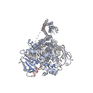7338_6c3o_E_v1-0
Cryo-EM structure of human KATP bound to ATP and ADP in quatrefoil form