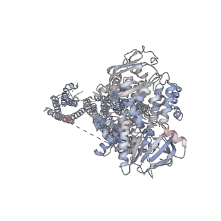 7338_6c3o_F_v1-0
Cryo-EM structure of human KATP bound to ATP and ADP in quatrefoil form