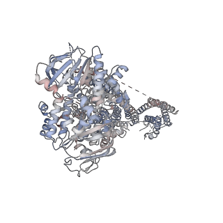 7338_6c3o_H_v1-0
Cryo-EM structure of human KATP bound to ATP and ADP in quatrefoil form
