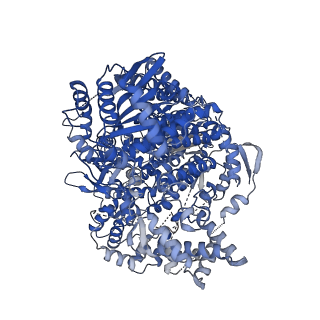 16428_8c4t_A_v1-0
Hantaan virus polymerase bound to its 5' viral RNA