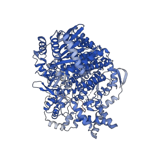 16429_8c4u_A_v1-0
Hantaan virus polymerase in replication pre-initiation state