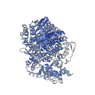 16430_8c4v_A_v1-0
Hantaan virus polymerase in replication elongation state