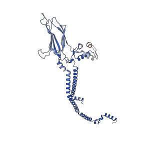 30285_7c4j_A_v1-0
Cryo-EM structure of the yeast Swi/Snf complex in a nucleosome free state