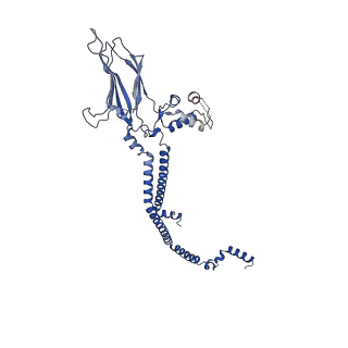 30285_7c4j_A_v1-1
Cryo-EM structure of the yeast Swi/Snf complex in a nucleosome free state