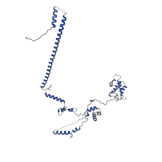 30285_7c4j_B_v1-0
Cryo-EM structure of the yeast Swi/Snf complex in a nucleosome free state