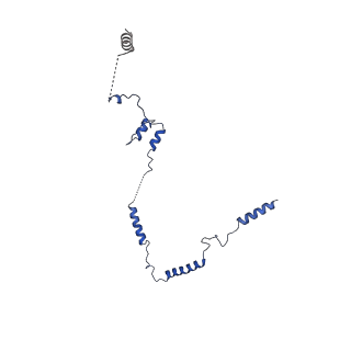 30285_7c4j_C_v1-1
Cryo-EM structure of the yeast Swi/Snf complex in a nucleosome free state