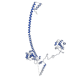 30285_7c4j_D_v1-0
Cryo-EM structure of the yeast Swi/Snf complex in a nucleosome free state