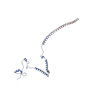 30285_7c4j_H_v1-1
Cryo-EM structure of the yeast Swi/Snf complex in a nucleosome free state