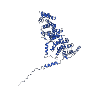 30285_7c4j_I_v1-0
Cryo-EM structure of the yeast Swi/Snf complex in a nucleosome free state