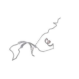 30285_7c4j_J_v1-1
Cryo-EM structure of the yeast Swi/Snf complex in a nucleosome free state