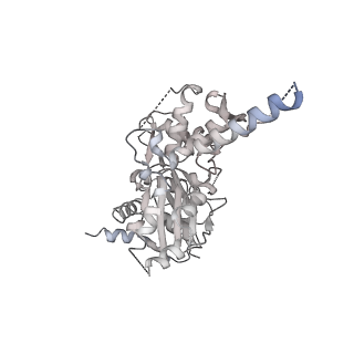 30285_7c4j_K_v1-0
Cryo-EM structure of the yeast Swi/Snf complex in a nucleosome free state