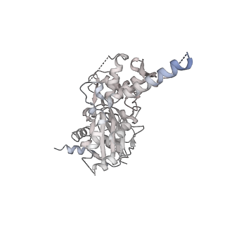 30285_7c4j_K_v1-1
Cryo-EM structure of the yeast Swi/Snf complex in a nucleosome free state