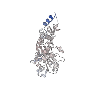 30285_7c4j_L_v1-0
Cryo-EM structure of the yeast Swi/Snf complex in a nucleosome free state