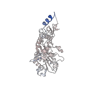 30285_7c4j_L_v1-1
Cryo-EM structure of the yeast Swi/Snf complex in a nucleosome free state