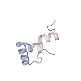 7341_6c4i_4_v2-0
Conformation of methylated GGQ in the peptidyl transferase center during translation termination