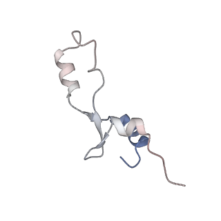 7341_6c4i_5_v1-1
Conformation of methylated GGQ in the peptidyl transferase center during translation termination