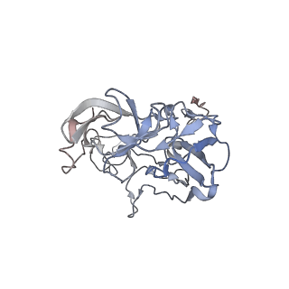 7341_6c4i_C_v1-1
Conformation of methylated GGQ in the peptidyl transferase center during translation termination
