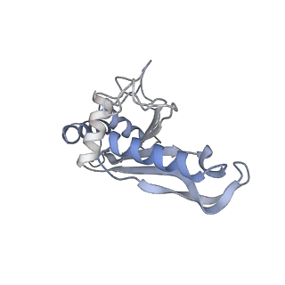 7341_6c4i_F_v1-1
Conformation of methylated GGQ in the peptidyl transferase center during translation termination