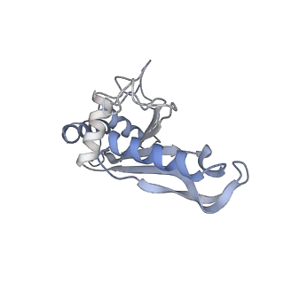 7341_6c4i_F_v2-0
Conformation of methylated GGQ in the peptidyl transferase center during translation termination