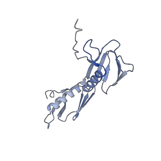 7341_6c4i_G_v1-1
Conformation of methylated GGQ in the peptidyl transferase center during translation termination