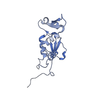 7341_6c4i_K_v1-1
Conformation of methylated GGQ in the peptidyl transferase center during translation termination