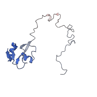 7341_6c4i_M_v1-1
Conformation of methylated GGQ in the peptidyl transferase center during translation termination